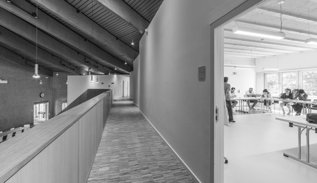 Rethinking Obsolete Typologies